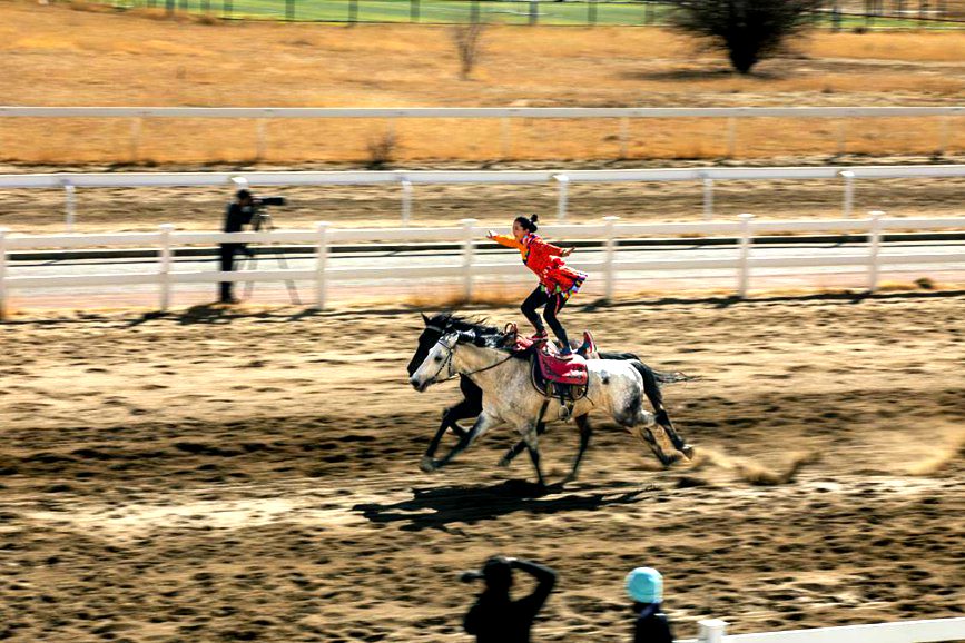 藏歷新年，精彩的馬術表演。張靜攝