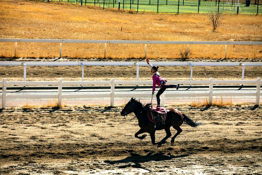 藏歷新年，精彩的馬術表演。張靜攝