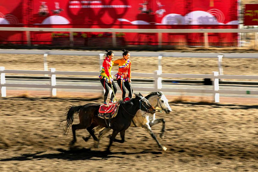 藏歷新年，精彩的馬術表演。張靜攝