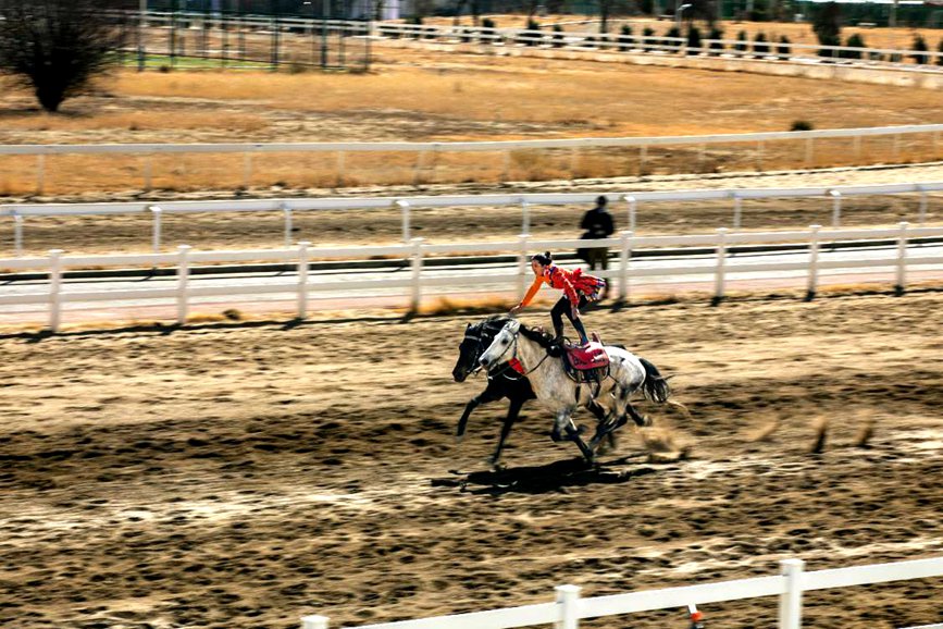 藏歷新年，精彩的馬術表演。張靜攝