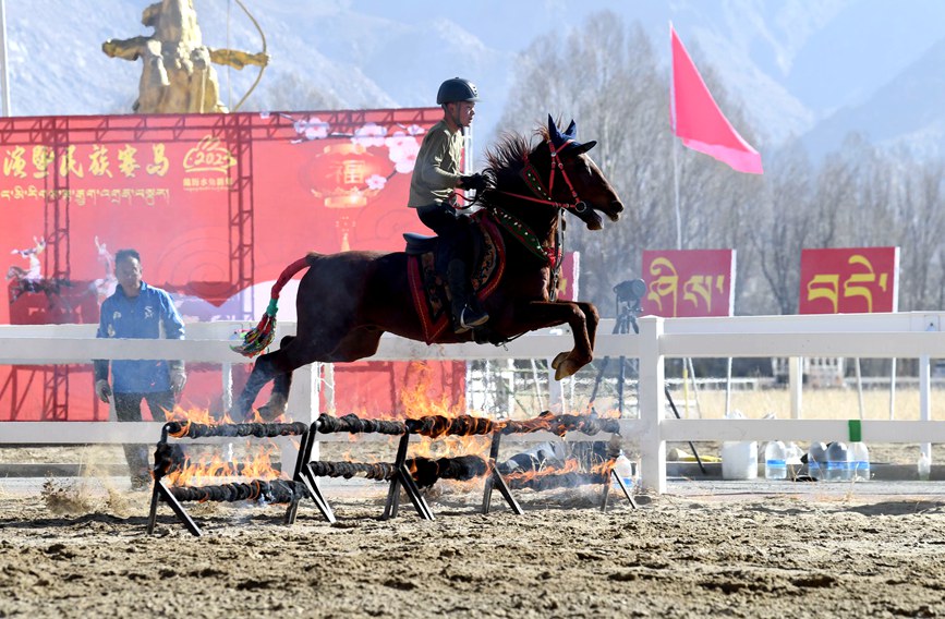 藏歷新年，精彩的馬術表演。潘多攝