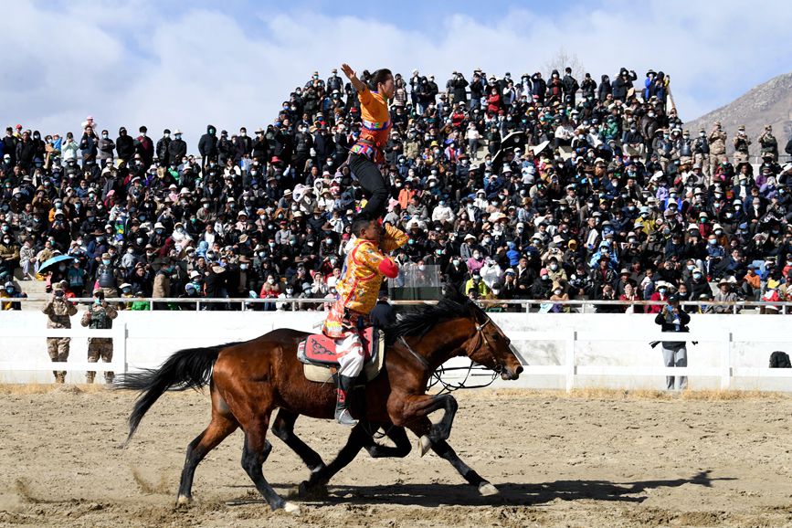 藏歷新年，精彩的馬術表演。潘多攝