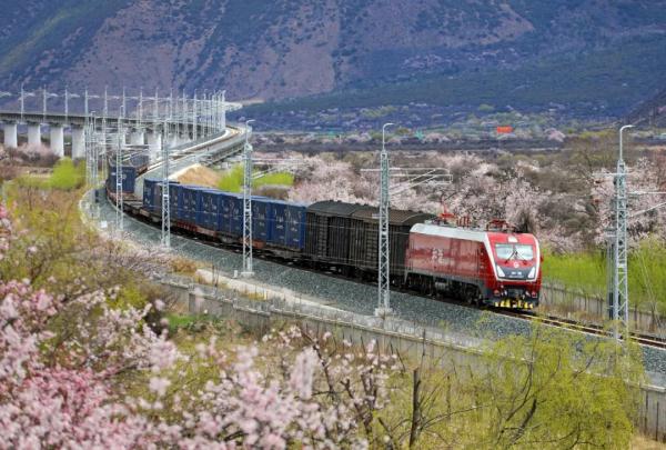 人間桃花源！林芝桃花有多絕？