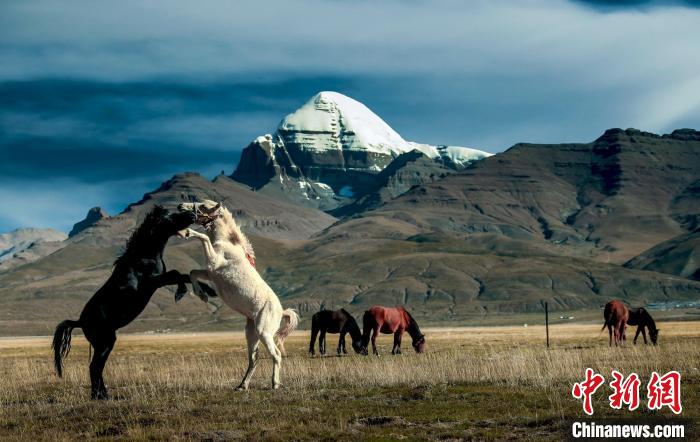 圖為參展攝影師拍攝的西藏阿里岡仁波齊?！≈鬓k方 供圖