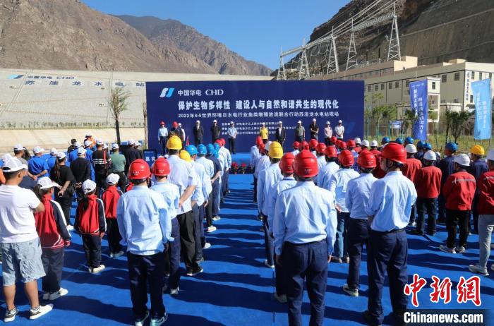 圖為蘇洼龍水電站魚類放流現(xiàn)場?！√K洼龍水電站供圖