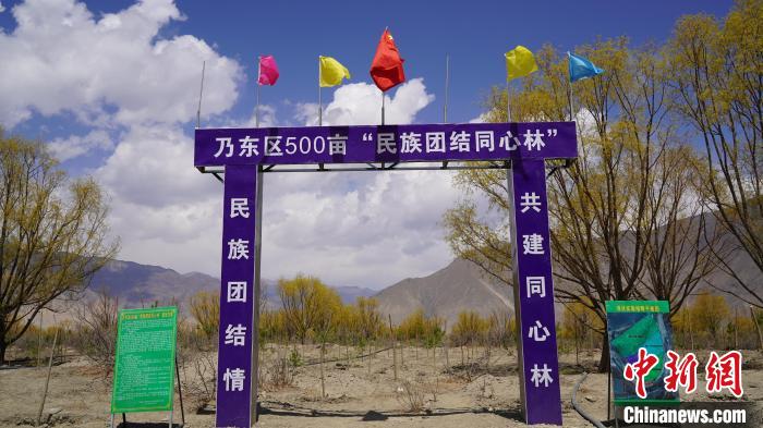 圖為“民族團(tuán)結(jié)同心林”項(xiàng)目?！∧藮|融媒供圖