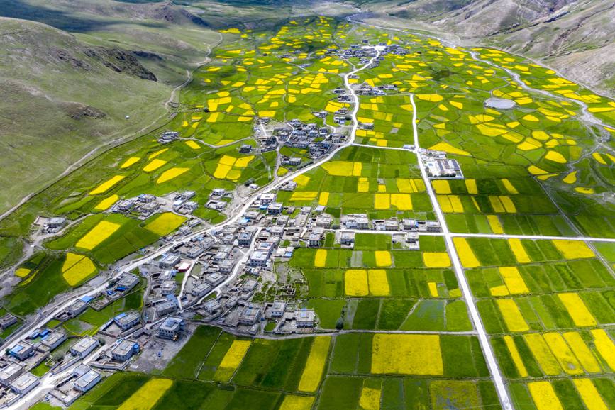 航拍道布龍村，依山傍水，阡陌縱橫。