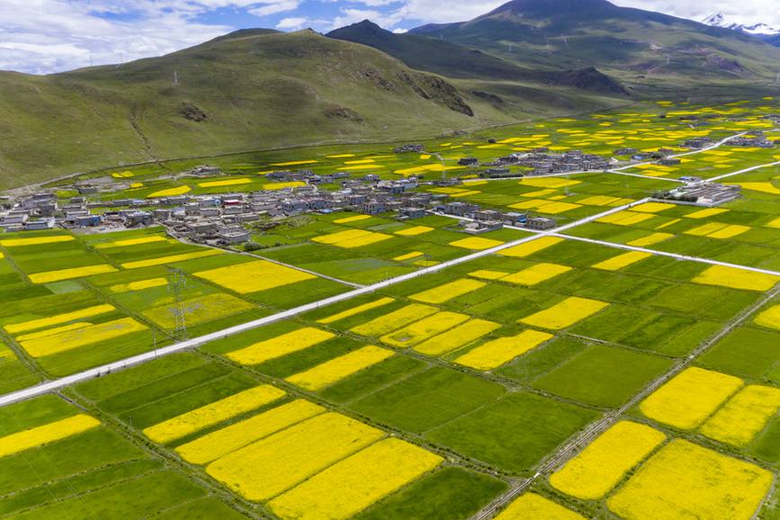 航拍道布龍村，依山傍水，阡陌縱橫。