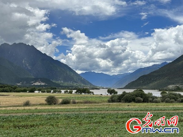 我們的家園｜林芝米林縣：河長(zhǎng)護(hù)藥洲，碧水映花谷