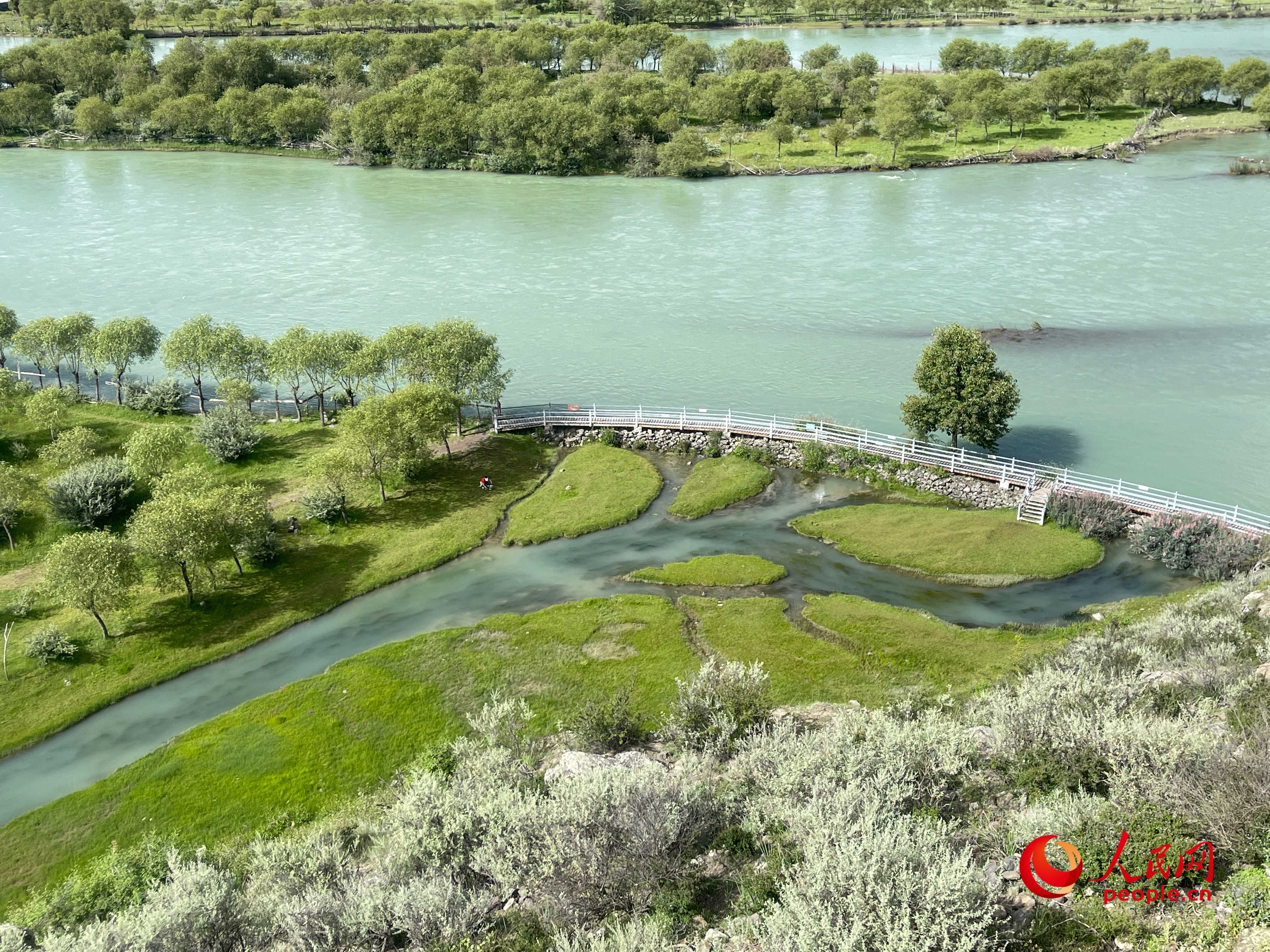 夏日的雅尼國(guó)家濕地公園生機(jī)盎然，如詩如畫。人民網(wǎng) 周靜圓攝