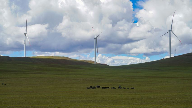 西藏措美哲古風(fēng)電場(chǎng)首批3.6兆瓦風(fēng)電機(jī)組并網(wǎng)發(fā)電。受訪者供圖