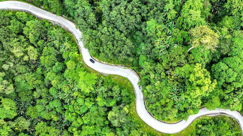 穿行于綠色間，生態(tài)優(yōu)良。張澤坤攝