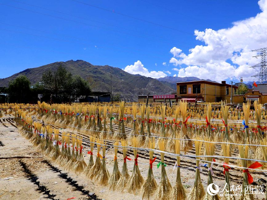 幸福生活曬出來。人民網(wǎng) 李海霞攝