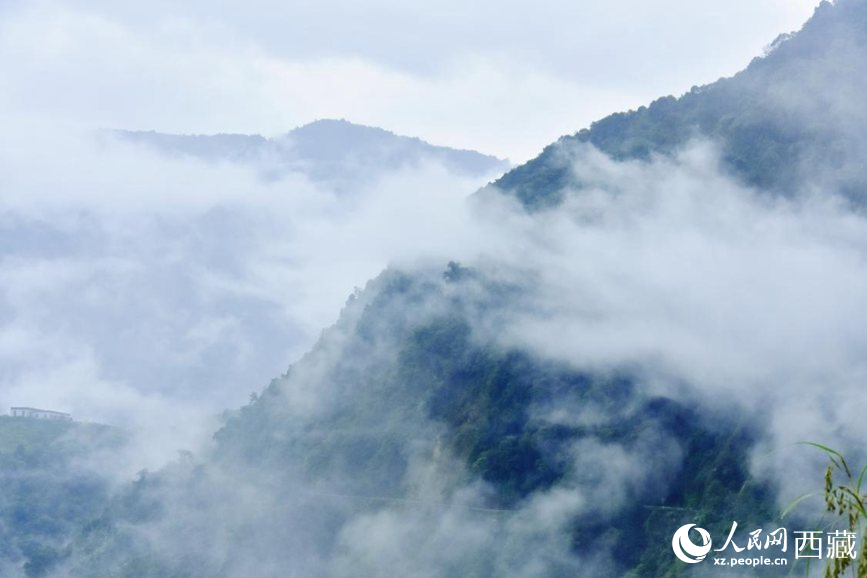 秋日里的墨脫云海。人民網(wǎng) 李海霞攝