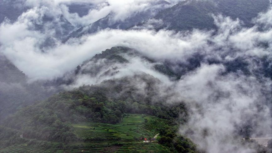 秋日里的墨脫云海。張澤坤攝