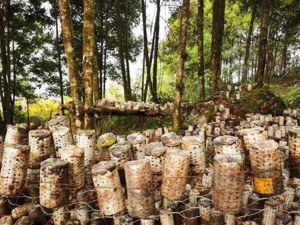 幾代建設者，歷經半個多世紀完成！這是一條怎樣的公路？