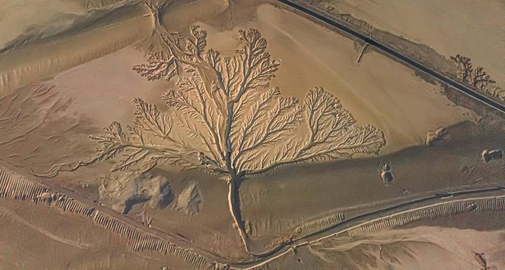 壯觀的“大地之樹”。邊巴多吉攝