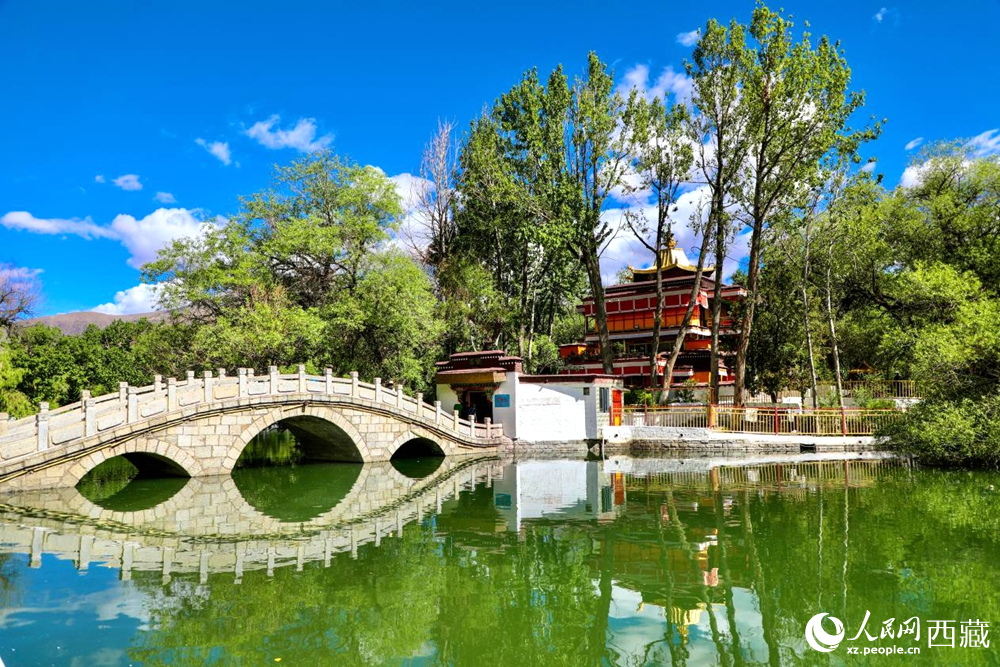 公園內(nèi)綠意盎然。