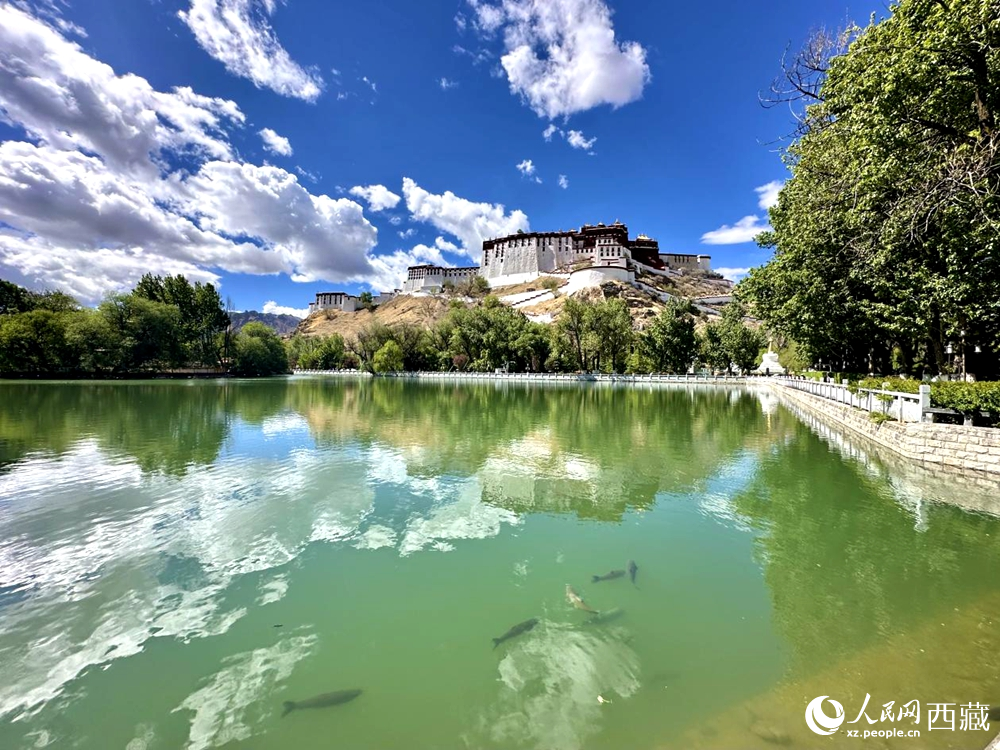 公園一角。