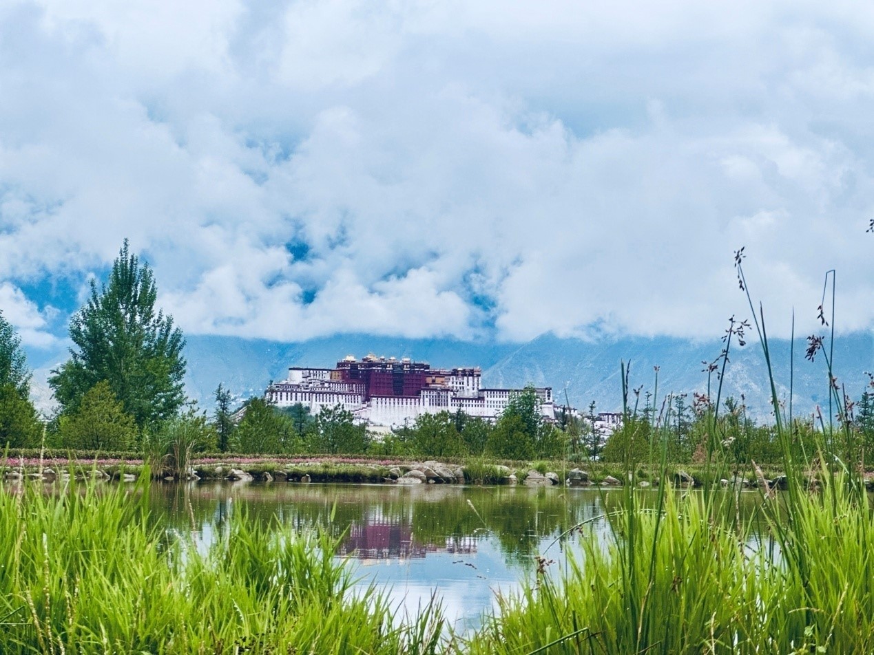 在南山公園遠(yuǎn)眺布達(dá)拉宮。人民網(wǎng)記者 益西康珠攝