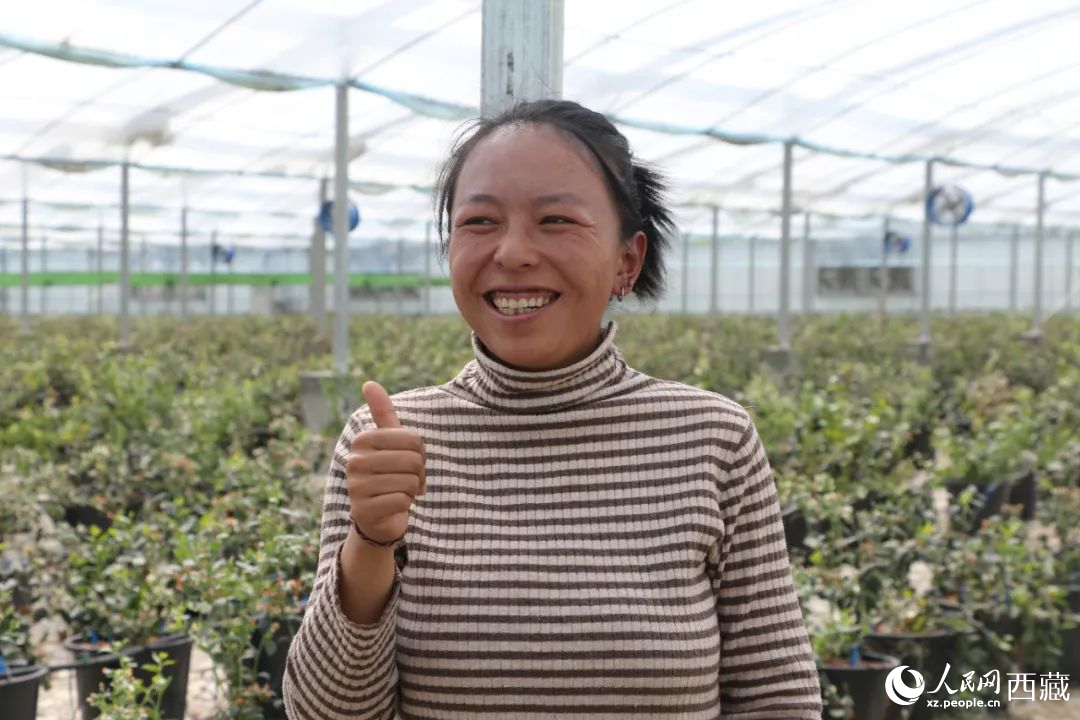 措姆品嘗自己精心照料的藍(lán)莓后，豎起了大拇指。次仁龍布攝