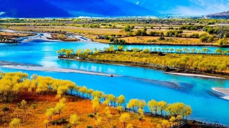 懂西藏的人，一定不會錯過林芝的秋天