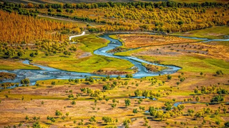 懂西藏的人，一定不會錯過林芝的秋天