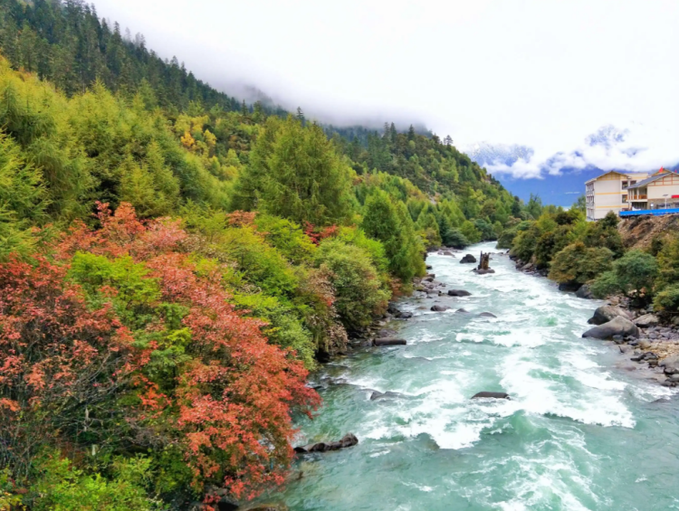 懂西藏的人，一定不會錯過林芝的秋天