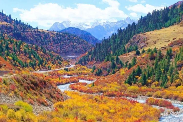 懂西藏的人，一定不會錯過林芝的秋天