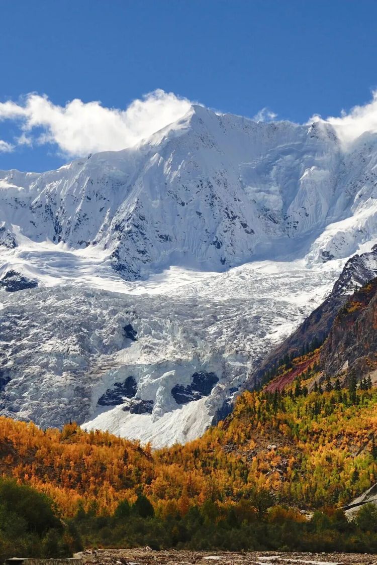 懂西藏的人，一定不會錯過林芝的秋天