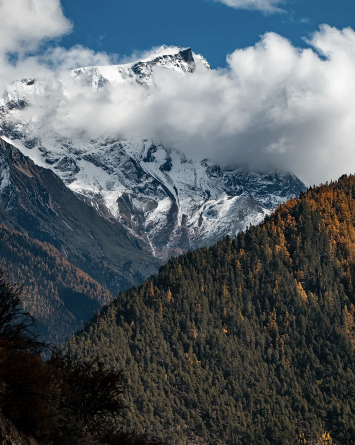 懂西藏的人，一定不會錯過林芝的秋天