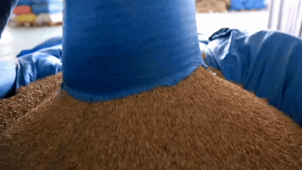 青稞“蛻變”，牦?！俺鋈Α?！看西藏農(nóng)牧民的“十四五”豐收答卷