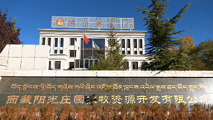 青稞“蛻變”，牦?！俺鋈Α?！看西藏農(nóng)牧民的“十四五”豐收答卷