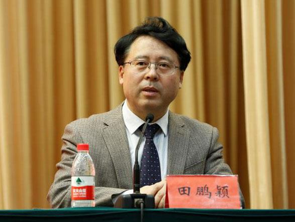 田鵬穎：投入其中、樂在其中、安身其中