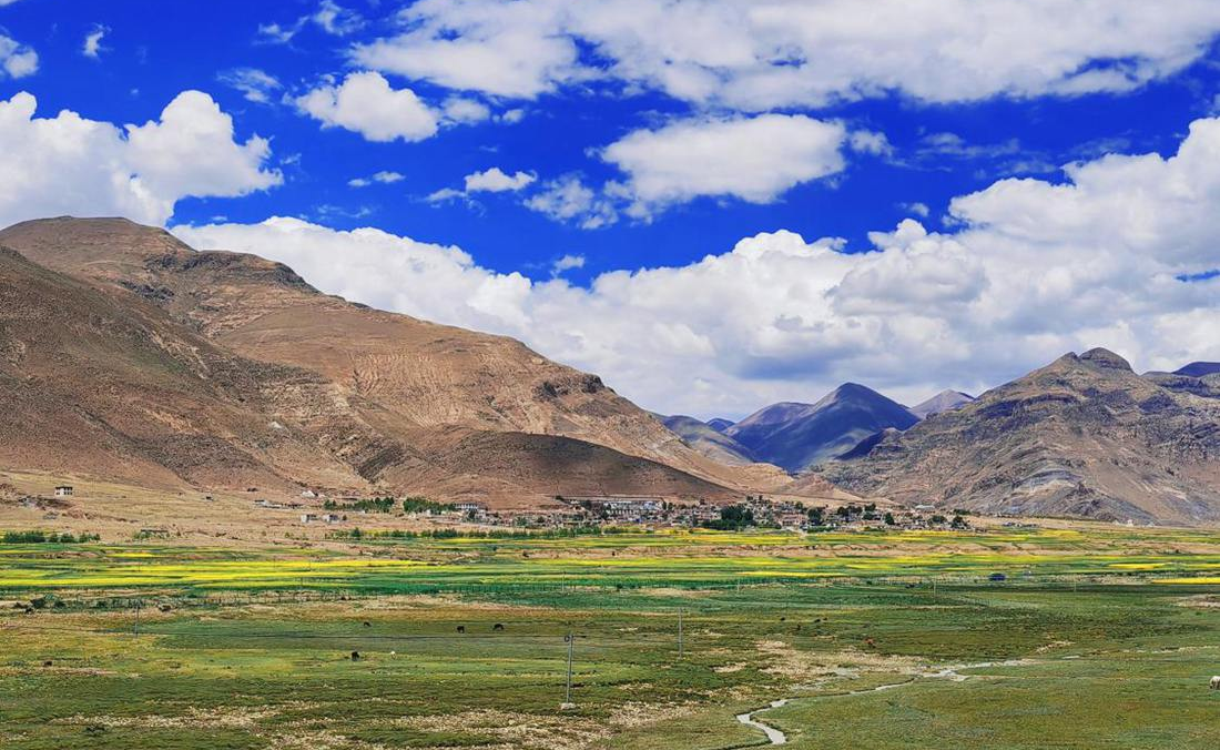 羌塘草原上的美好圖景。人民網(wǎng) 李海霞攝