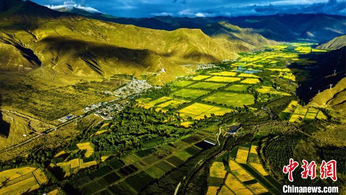 圖為山南雍布拉康附近農(nóng)田?！埼?攝