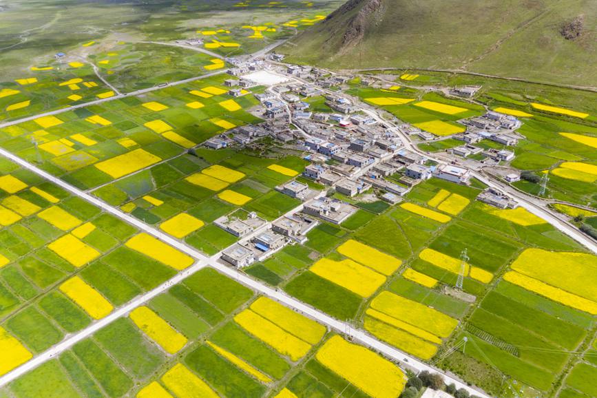 航拍道布龍村，依山傍水，阡陌縱橫。