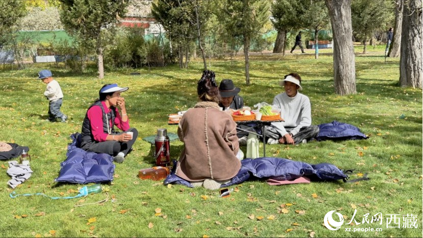 圖為市民在公園內(nèi)聚會(huì)。人民網(wǎng)記者 次仁羅布攝
