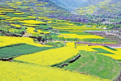 甘肅:譜寫富民興隴時(shí)代篇章