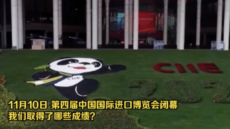 從進(jìn)博會(huì)看入世20年 這份成績(jī)單請(qǐng)收好！