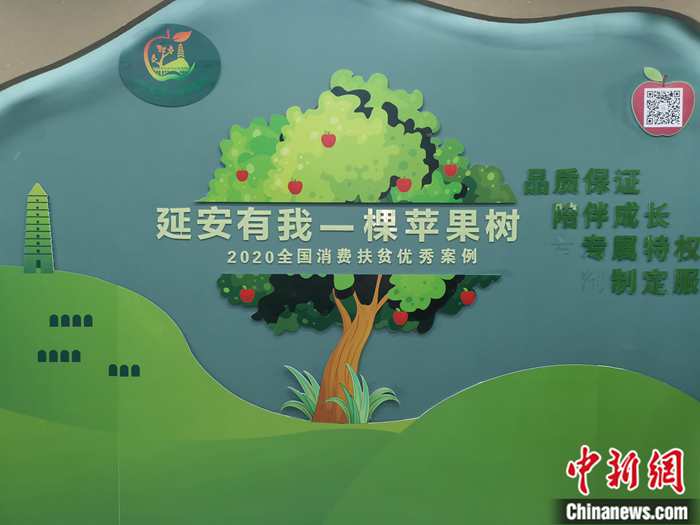 “延安有我一棵蘋果樹”。<a target='_blank'  ><p  align=