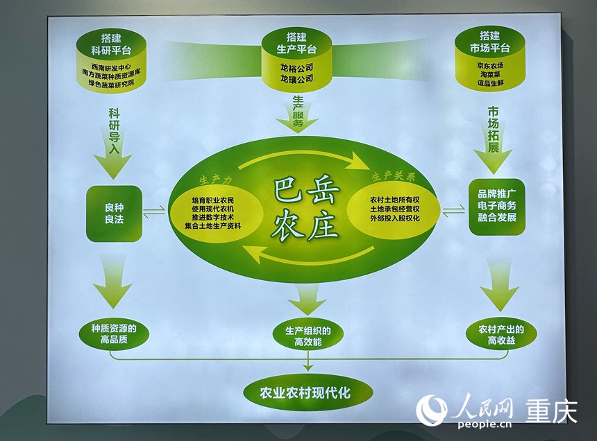 “巴岳農(nóng)莊”運作示意圖。人民網(wǎng)記者 劉政寧攝