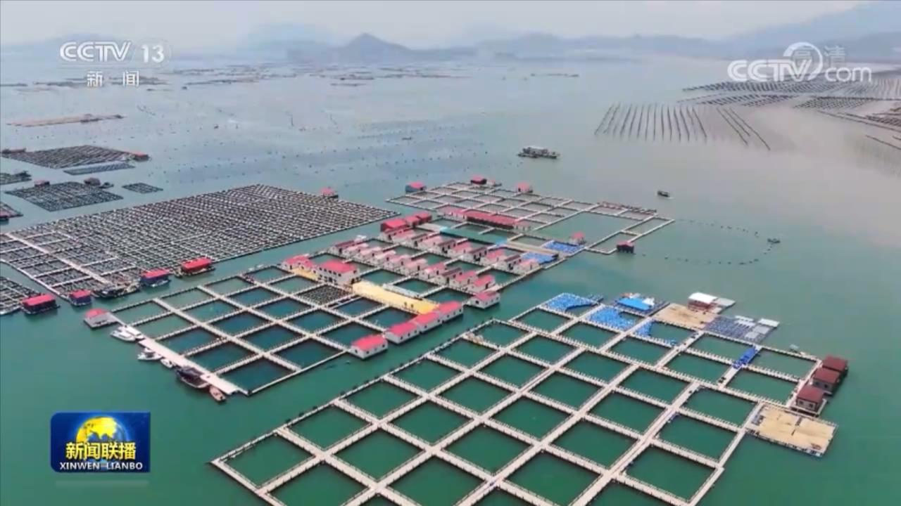 【走進(jìn)縣城看發(fā)展】福建霞浦:做強(qiáng)海洋經(jīng)濟(jì) 實(shí)現(xiàn)綠色發(fā)展