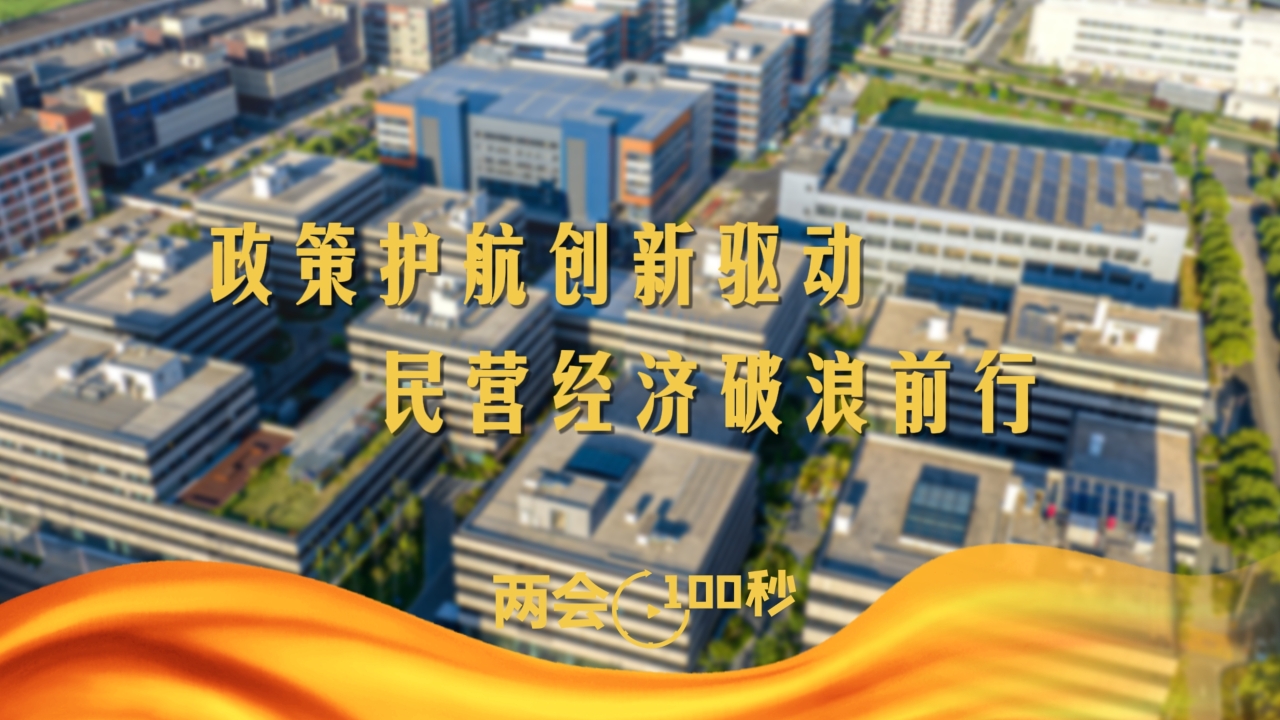 dd68bb5a-d59c-4fdc-898e-5db9d979b0ff_big.JPG